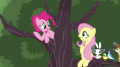 wiki:pinkie_there_s_still_other_things_s5e11.png