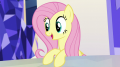 wiki:fluttershy_reassures_pinkie_s5e11.png