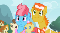 wiki:mr._and_mrs._cake_hoping_fluttershy_will_foalsit_for_them_s2e13.png