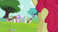 wiki:diamond_tiara_silver_spoon_and_other_foals_walking_s4e15_1_.png