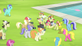 wiki:ponies_gathering_around_bloom_granny_flim_and_flam_s4e20.png