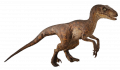 wiki:jurassic_park_velociraptor_by_philiptonymcgrawjrthephilmoviemaker_1_.png