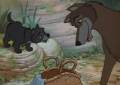 wiki:jungle_book_wolves-from-the-jungle-book-classic-disney-22381884-477-339.jpg