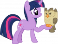 wiki:twilight_sparkle_and_owlowiscious_by_cloudyglow_deenzzb-pre.png