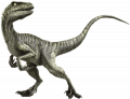 wiki:charlie_velociraptor_1_.png
