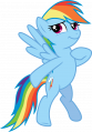 wiki:rainbow_dash_img-2981099-3-the_magnificent_rainbow_dash_by_fureox-d6n9zlv.png